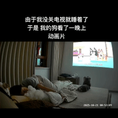 “解释不清了！”黑龙江，一女子睡觉忘关电视，就这样电视从晚上播到第二天早上。等女