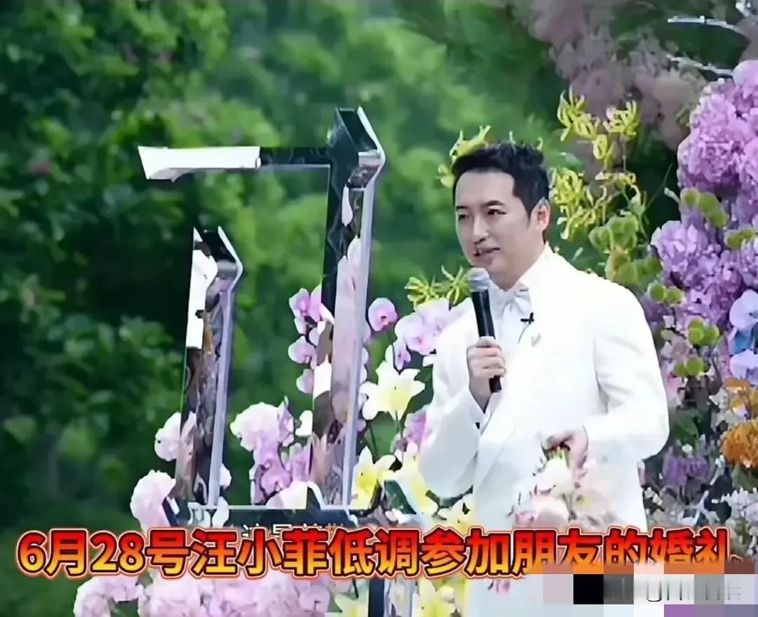 好友马先生婚礼汪小菲却收获满满这到底又发生了啥近日汪小菲又出名了他去