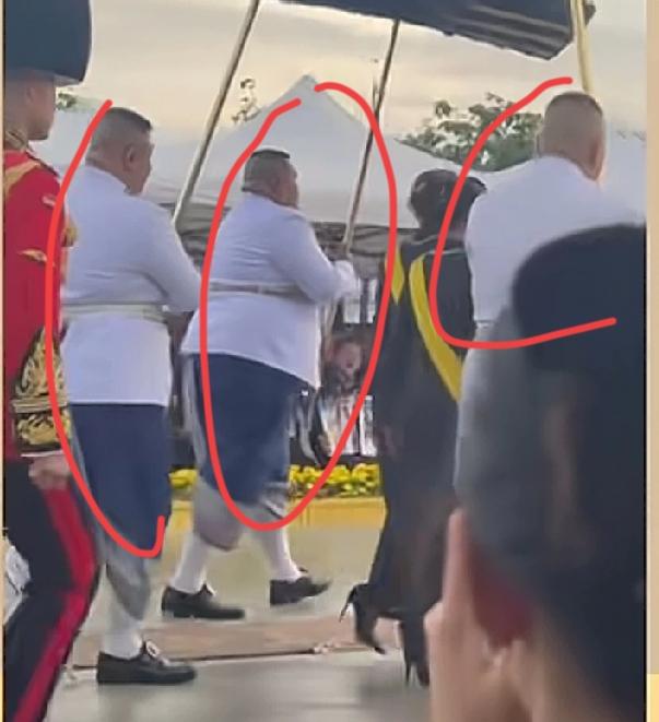 泰王身边的撑伞人总给人“清一色胖子”的错觉，其实是规矩和场景凑出来的巧合！按泰