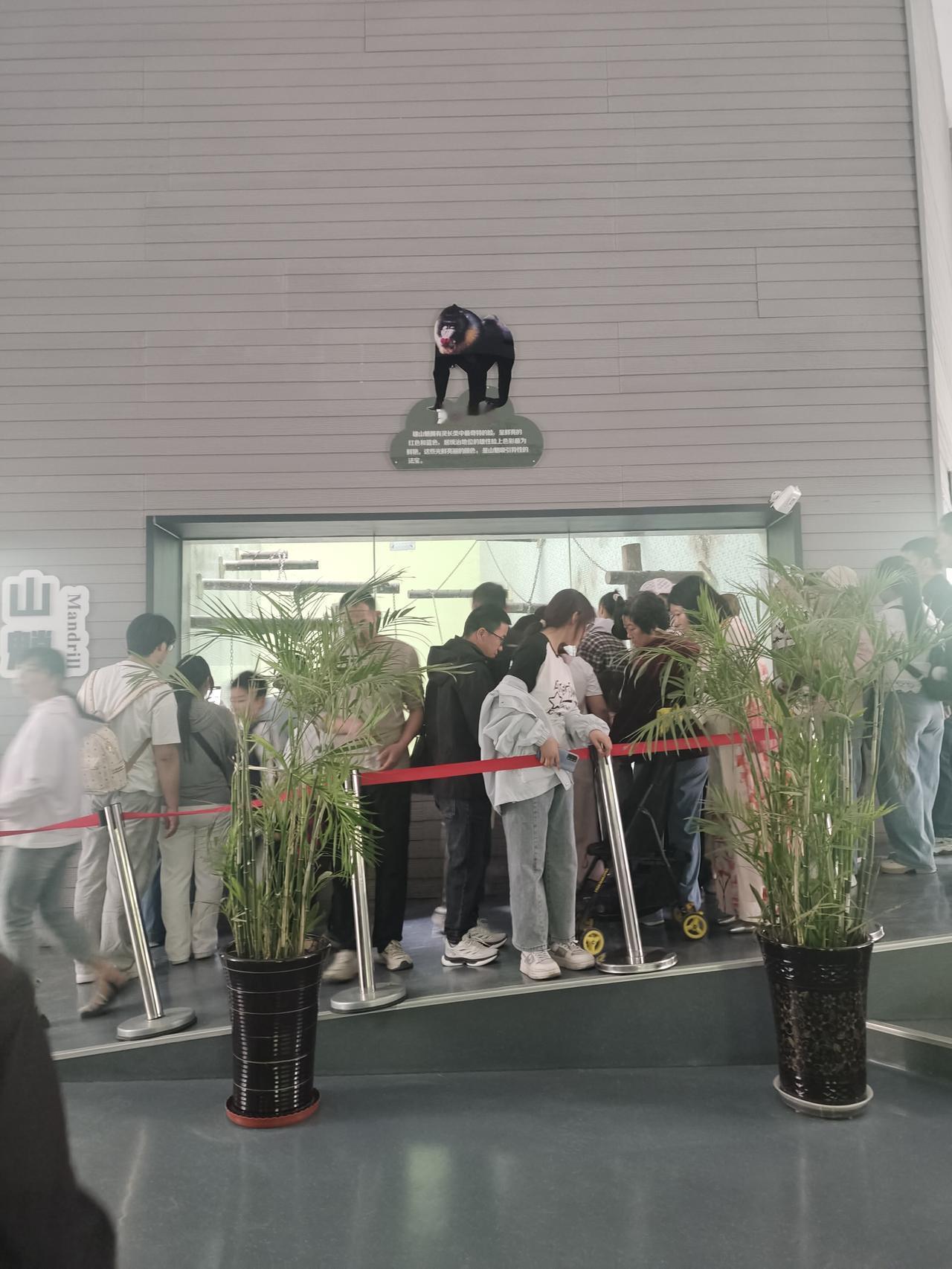 五一节第二天跑去太原动物园，本想看看可爱动物，结果全是人！到处人头攒动，挤都挤不
