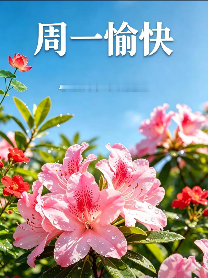 🌺2026./7月20日，晨光舒暑气，心静自然凉🌺🌴🌅伏夏晨光柔和铺