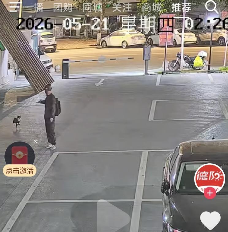 悲剧还是发生了！四川德阳，一只小型柴犬每晚都在同一个店铺门口等主人下班，这天深夜