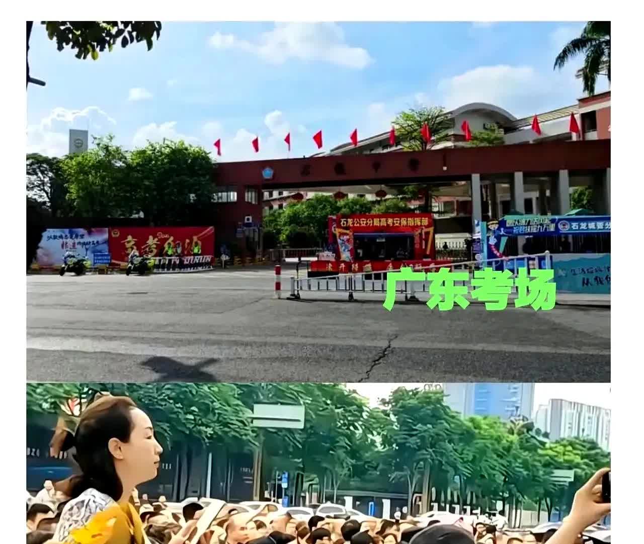 樊振东择偶这事儿太真实了！顶级运动员的婚恋市场就跟奥运会似的，人家