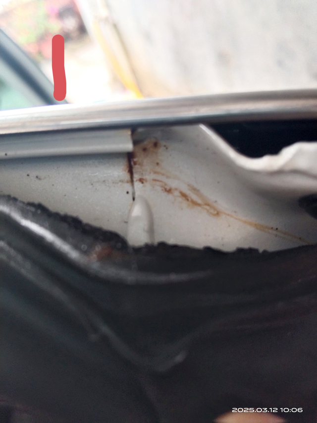 本田型格车门生锈思域车主们有这种情况吗？