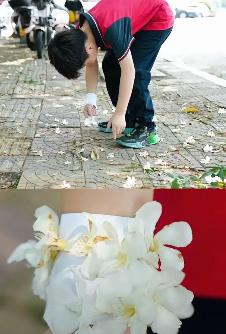 “夹竹桃花”毒蛋糕网红或面临千万赔偿，有一个女的拿着夹竹桃花在嘴边上就中毒了唐