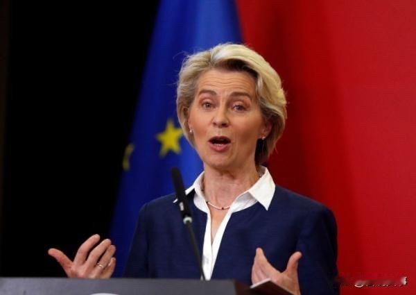 又要出手了！欧盟表态！来自布鲁塞尔消息，欧盟委员会9日对外宣布，将启动对美国企