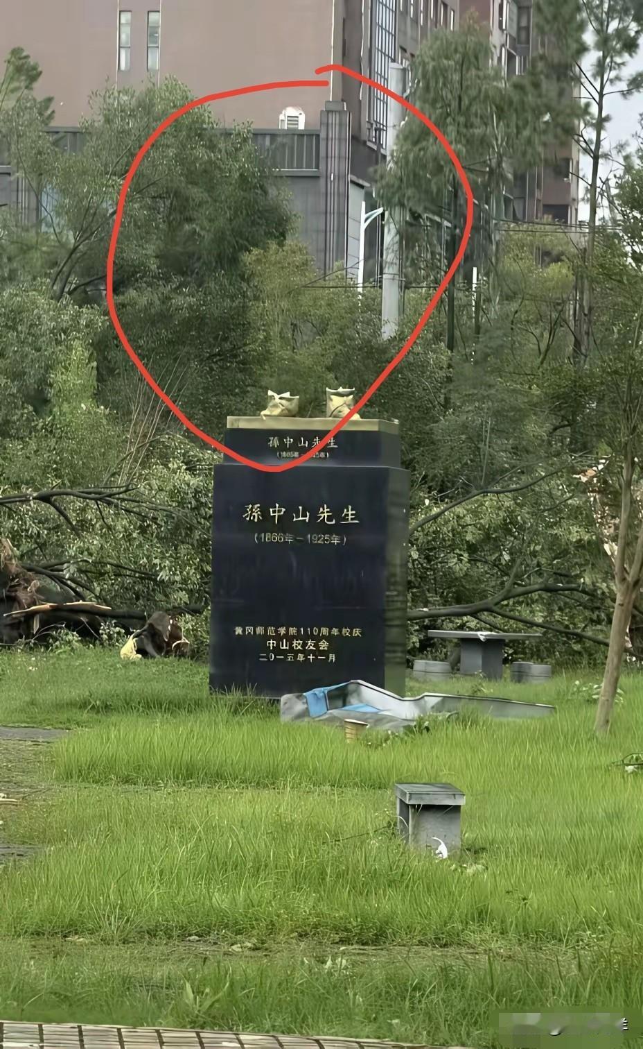 7月6日，湖北黄冈发生特大龙卷风，不但把黄冈师范学院的大树连根拔起，就连院内的孙