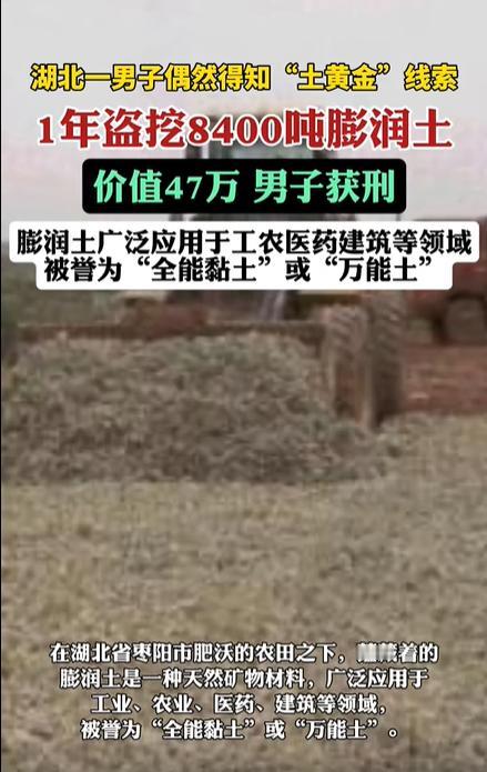 湖北枣阳，一男子发现某片农田之下竟然富含“土黄金”，于是立即租下了25亩地，然后