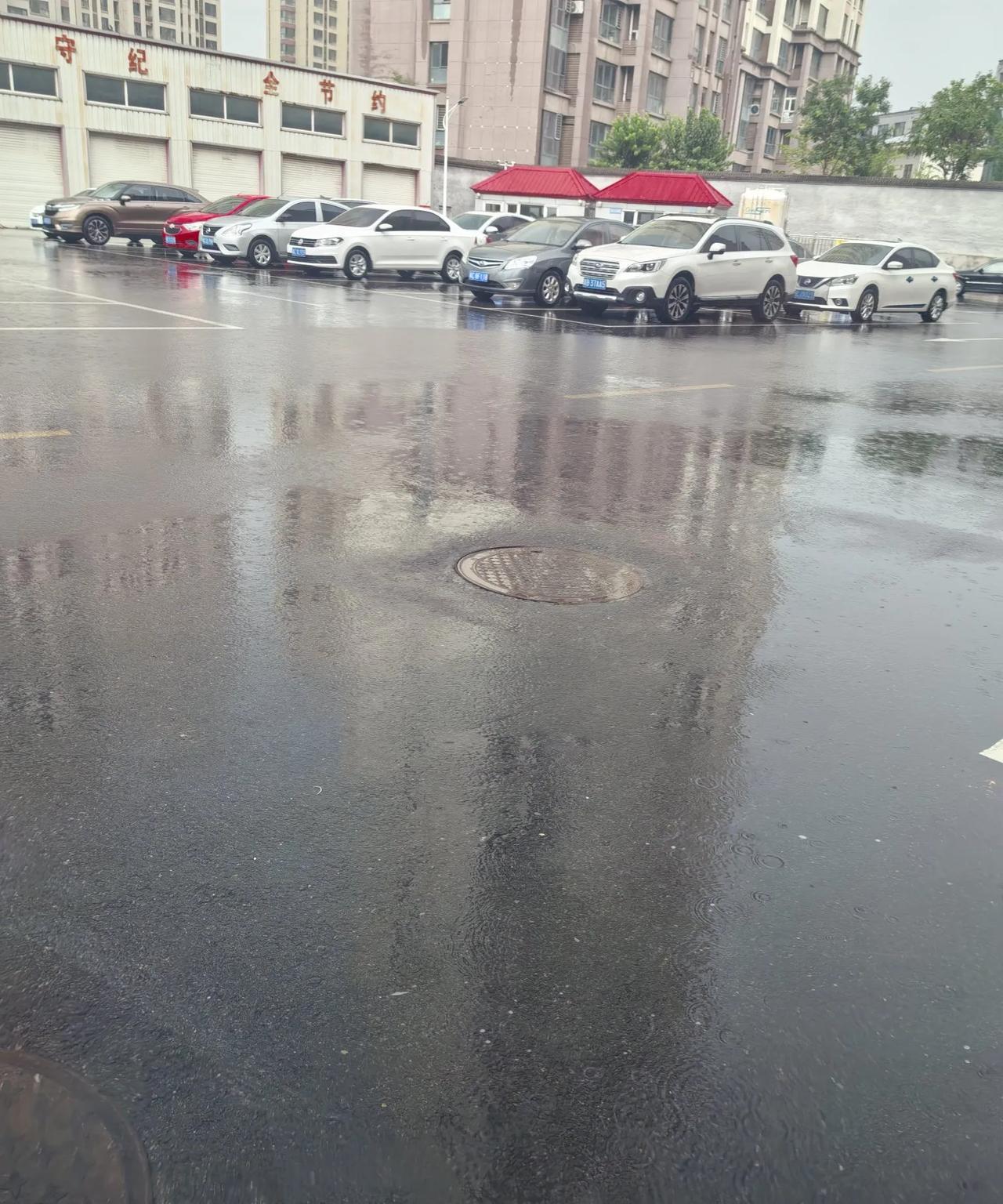 养车，才知道，车是个活物儿。不开，放在那里时间长了还不行。前一阵子，不怎么用
