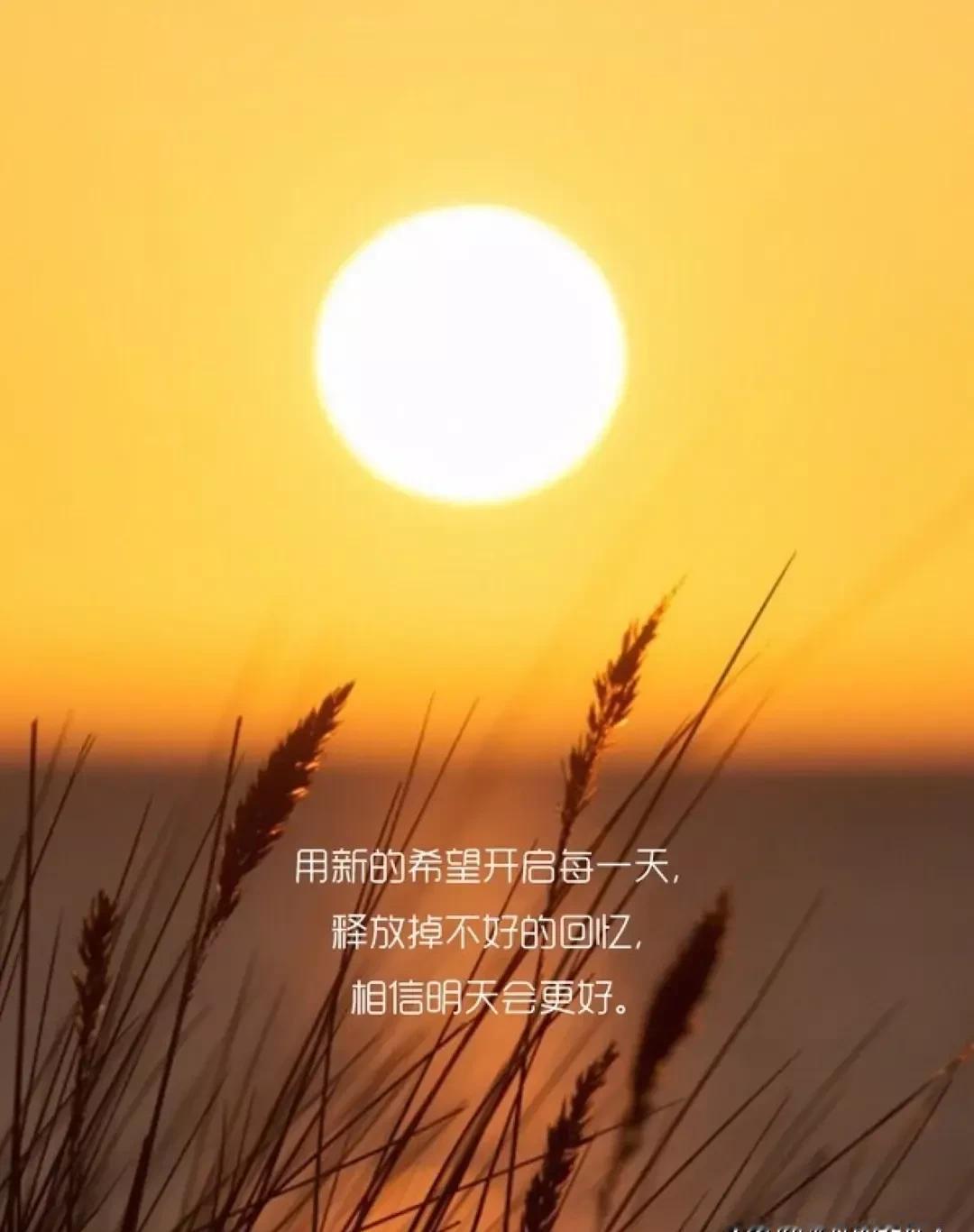 高一开学第一天，别被“重点班”三个字吓哭。真正拉开差距的，是报到前这7天你在