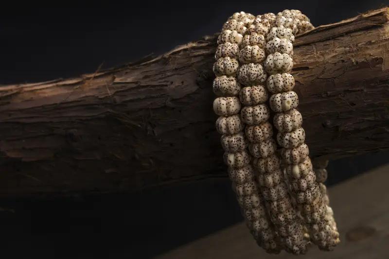 最近大家盘手串的热情高涨，盘的种类也是五花八门。我身边好多人在盘星月菩提手串，它