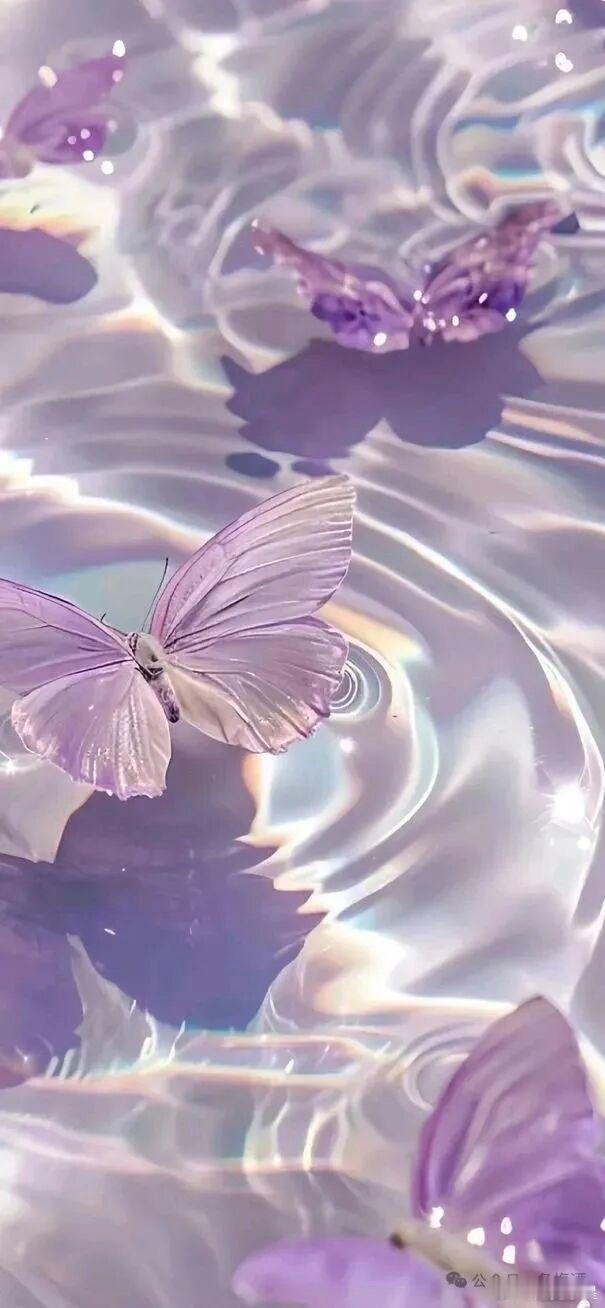 𝓦𝓮𝓒𝓱𝓪𝓽｜紫色壁纸丨氛围感背景图手机壁纸