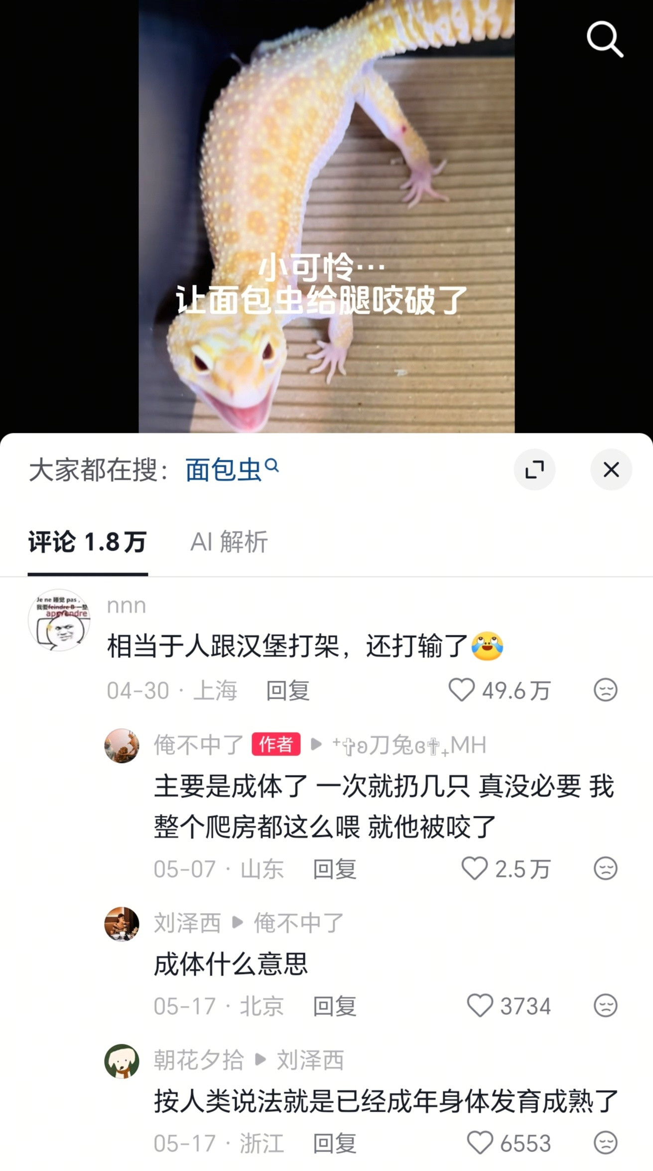 原来面包虫的攻击力不是0