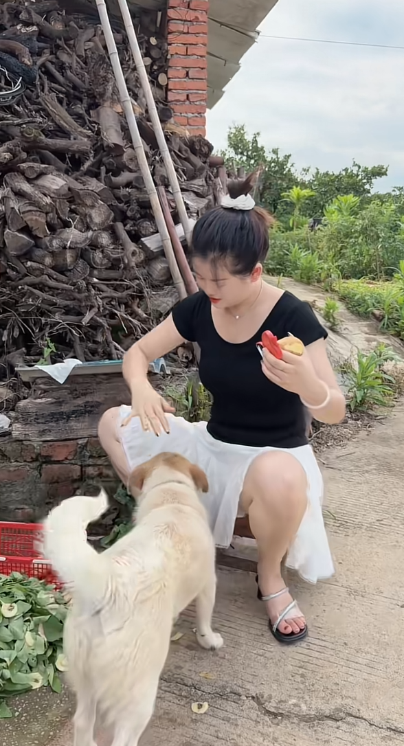 七月，适合把脚步放慢，等一朵花开，等一片云来