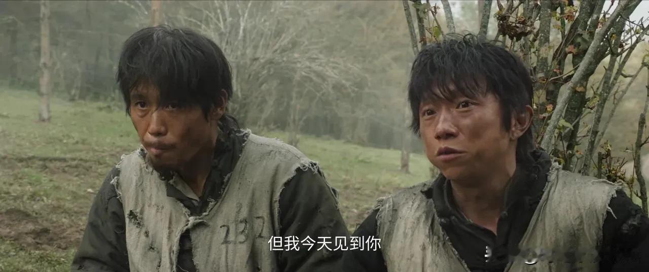 《生万物》播完接着《归队》腻味儿从马子变好人了，腻味是你吗？里面好几个老熟人
