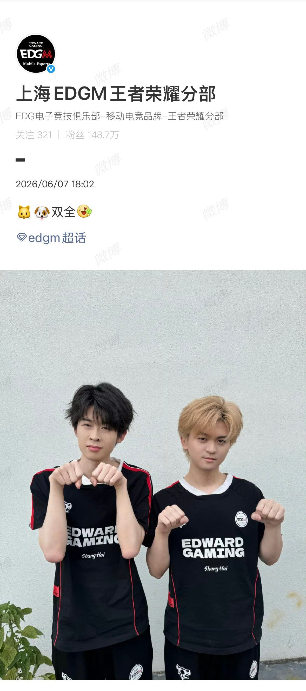 EDGM猫狗双全没有人看了这张照片能不嘴角上扬的除非他天生不爱笑