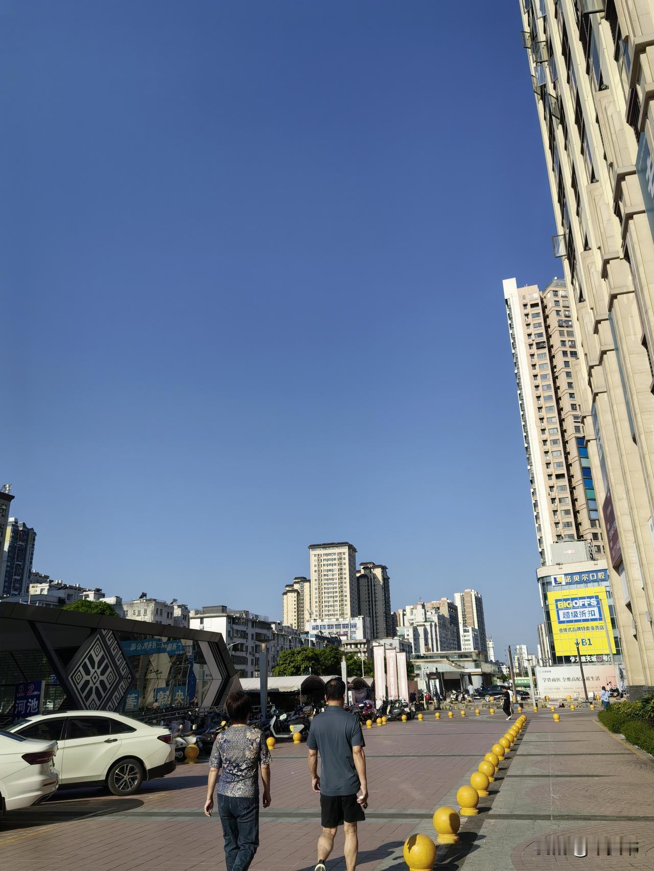 我宁愿相信母猪会上树，也不愿意相信天气预报是准确的！天气预报说今天阴天，