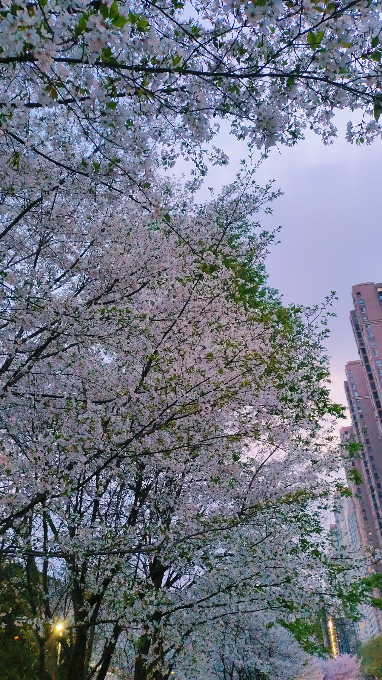 养老新方法互助养老每个人都会老谁都不希望自己到老的时候，需要人帮助的