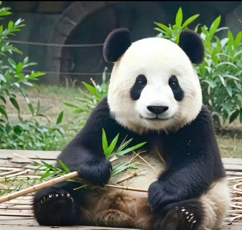 明日大吉，你有好事发生​​​