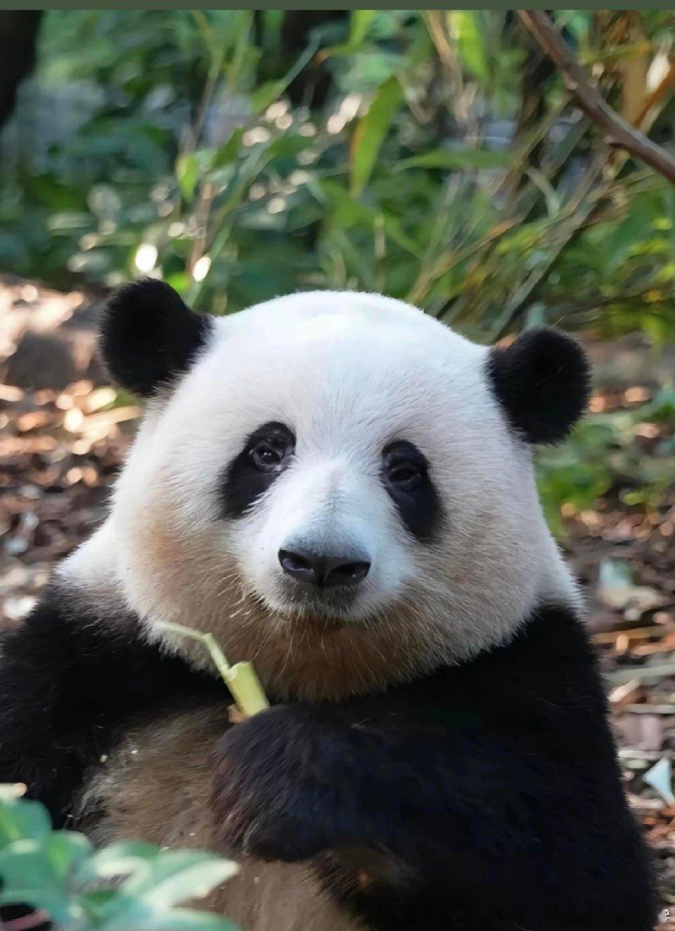 世界上只有一种真正的英雄主义，那就是在认清生活的真相后，依然热爱生活。早安！