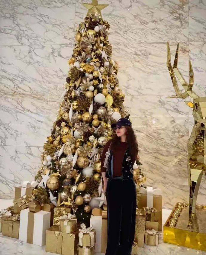 章泽天飞迪拜陪刘强东过圣诞节，还烤了女儿爱吃的饼干​​​