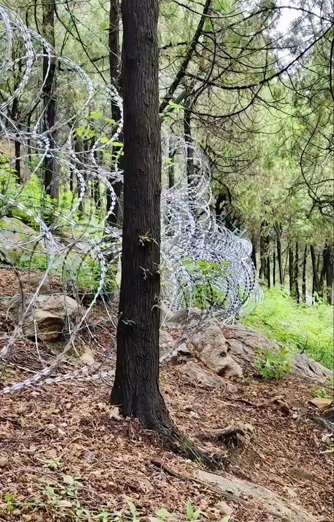 泰山景区致歉其实治理逃票根本用不上刀片铁丝网！我们先分析是那些人逃票。首先外地人