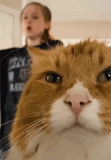 喵星人表示：我才是主角！