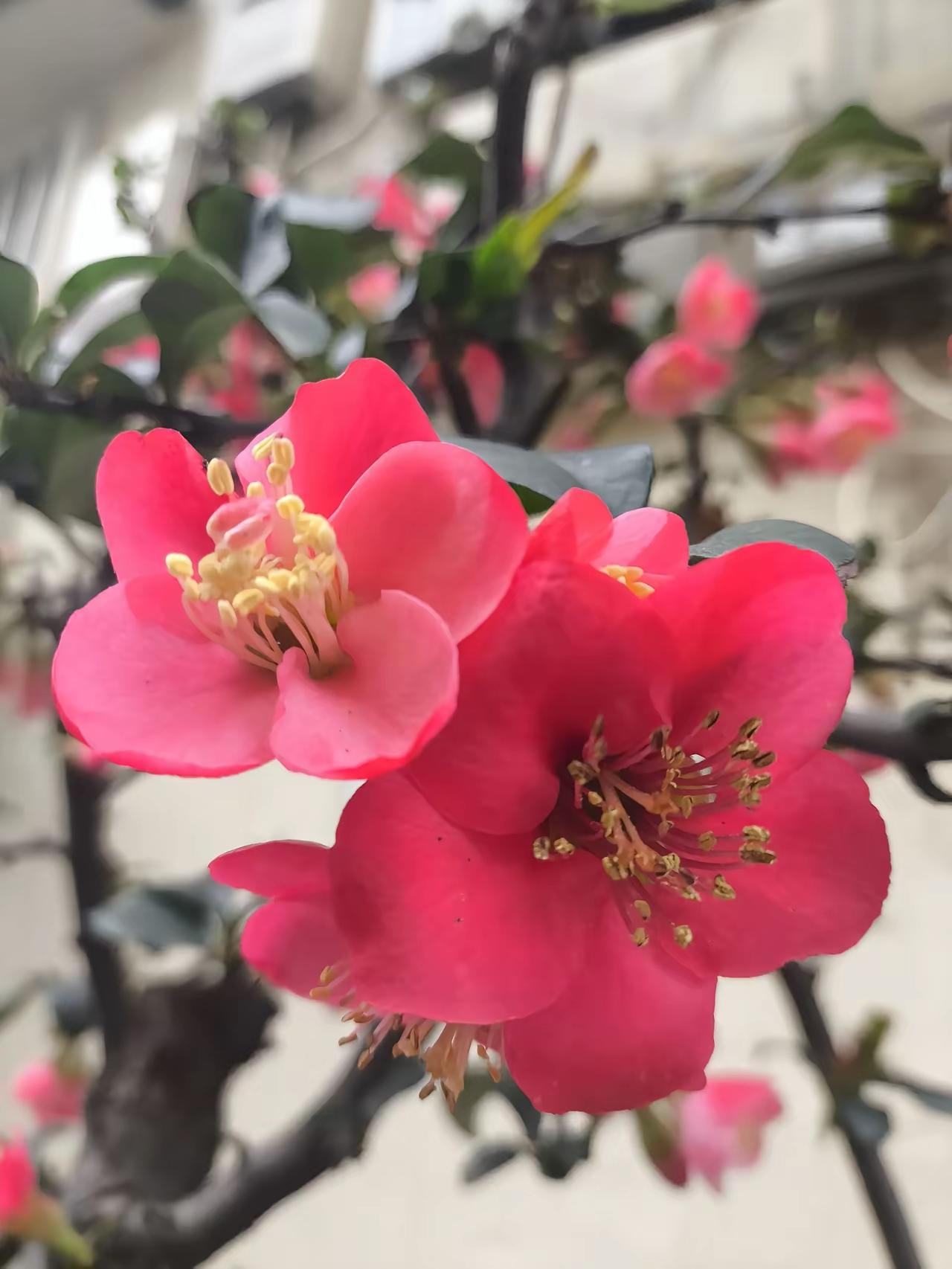 夫妻最好的状态：相处不累，久处不厌夫妻之间，想要一辈子舒服自在，不靠轰轰