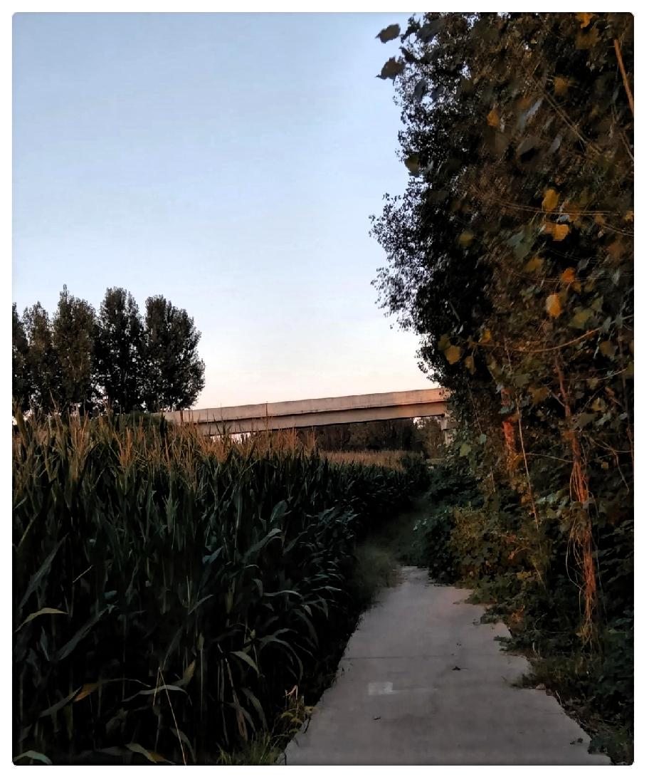 国庆凌晨，他走了。一个人，身边没人。心梗，第二天早上才发现，已经过去五六个小