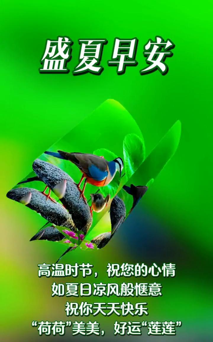 盛夏早安。高温时节，祝您的心情如夏日凉风般惬意。祝你天天快乐，"荷荷"美美，好