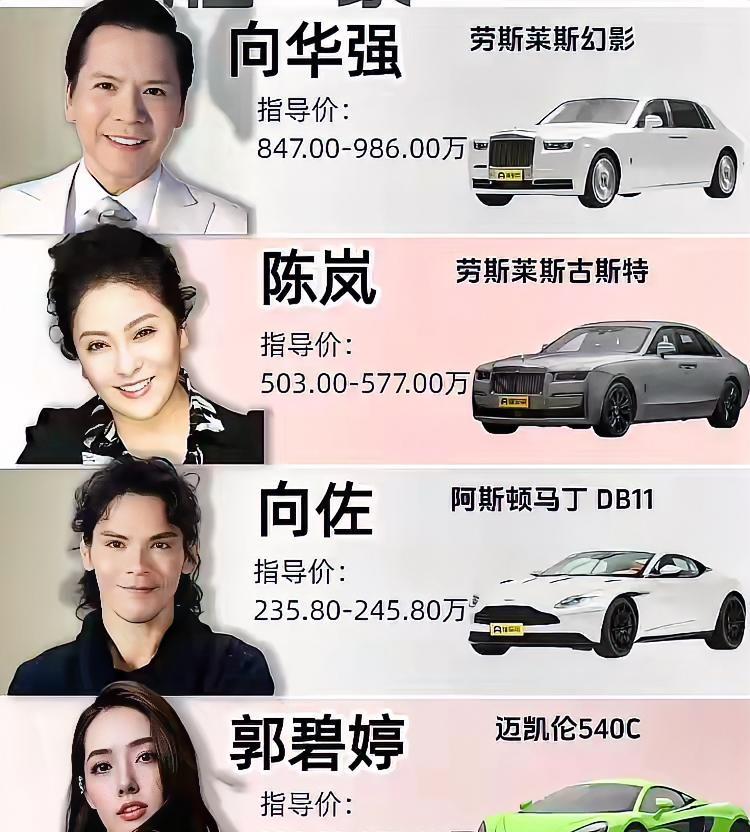 向华强一家的车，光车险也得不少钱吧！