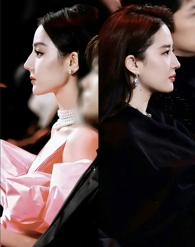 左边是迪丽热巴，右边是刘亦菲，两位都是公认的高颜值女星，却也难逃网友的议论。