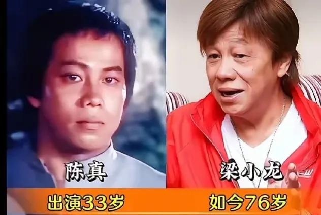 出演《霍元甲》里面陈真角色的演员演技特别好—梁小龙出演《霍元甲》里面霍元甲角色