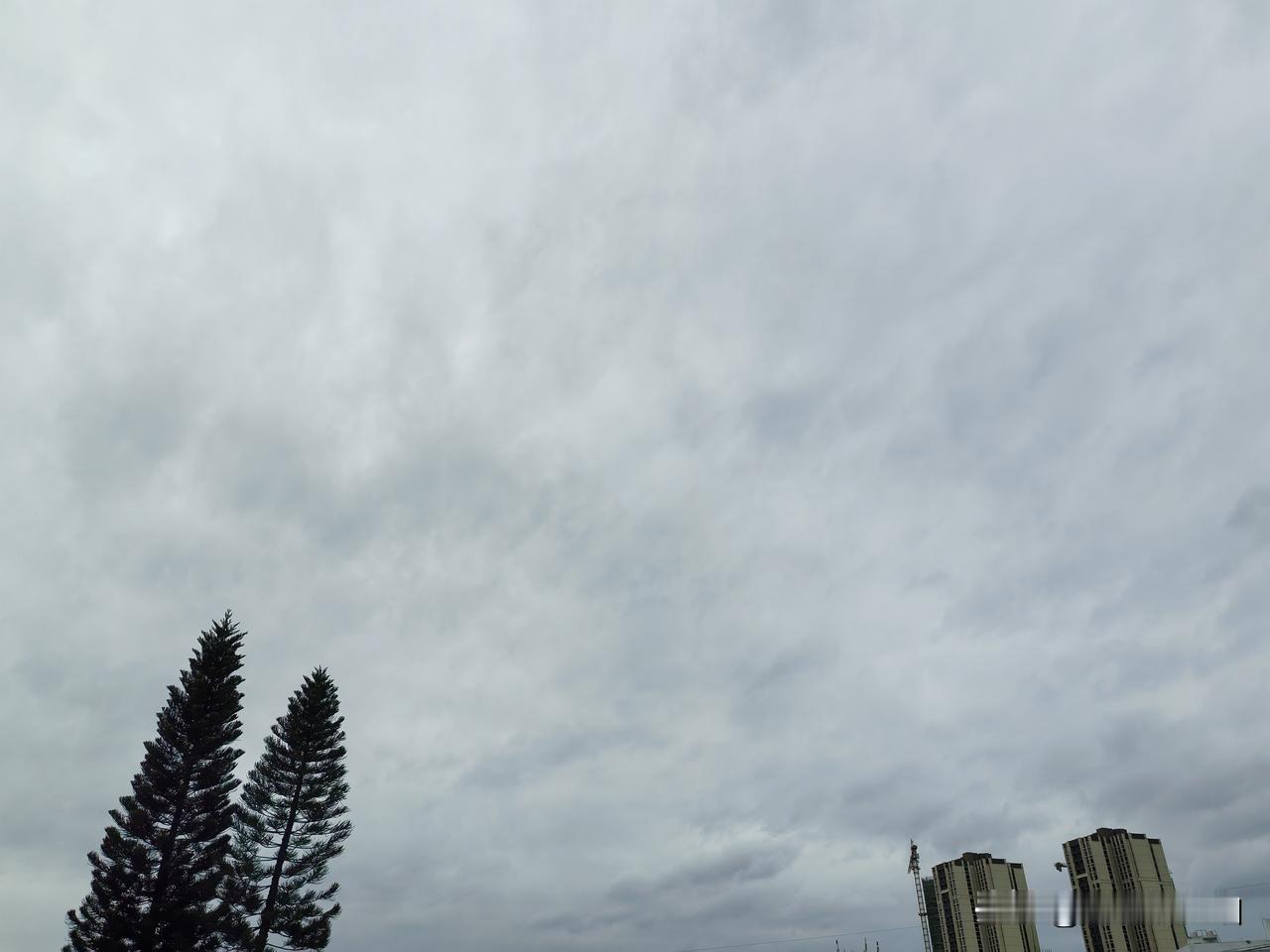 随着冷空气南下，全国多地气温创新低，北方多地出现少见绿叶雪，南方降温模式开