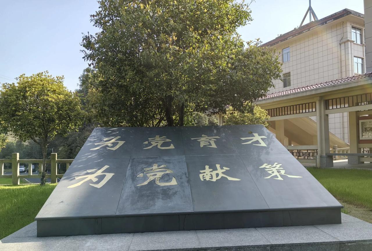 为什么现在的领导都喜欢开会呢？而且开这么多会也不觉得累？单位新来一位主要领导，