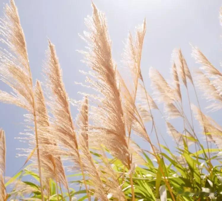 负债逾期以后努力挣钱，没有钱自己说的话自己都不信，苍白无力！有钱才有底气！