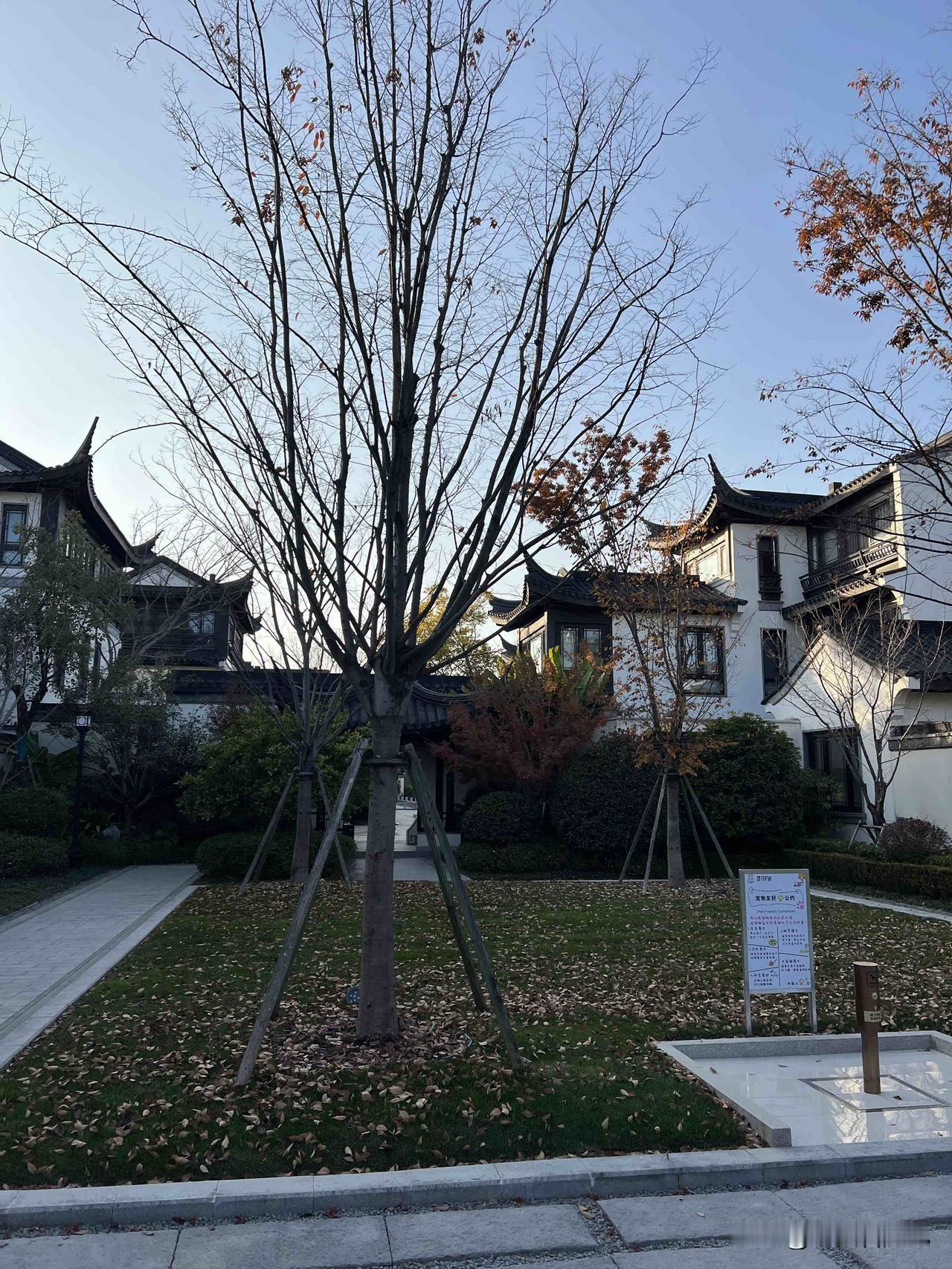 中式合院的确很美！湘湖边纯中式合院！215平6房，上三下二，全新装修