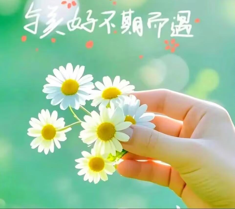 朝霞和日落是免费的春夏秋冬也是。不要觉得人生那么无望，希望你快乐。我们总是