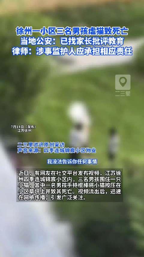江苏徐州。 三名小学二三年级男孩用棍棒锤子将一只流浪猫打死，视频传开后引发舆论。
