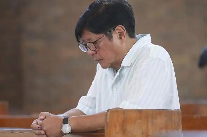 菲律宾政坛大地震！公造部前部长文诺安往证人席上一坐，嘴巴一张，直接把菲律宾参议院