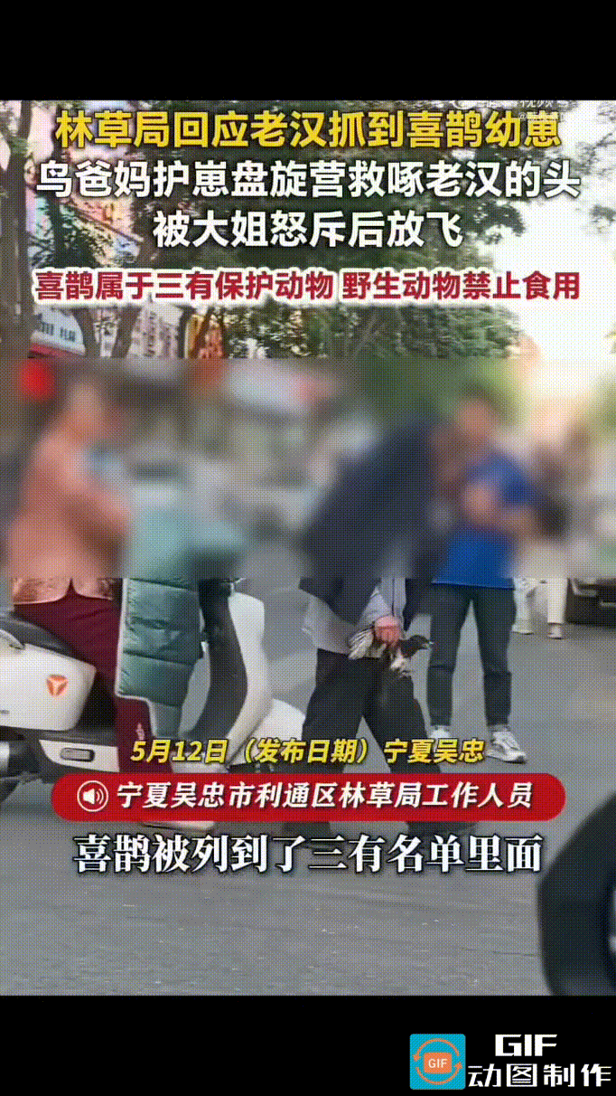 宁夏吴忠，一老头手里抓着一只喜鹊幼崽，衣服蒙在头上，大摇大摆地走在街上。在他上