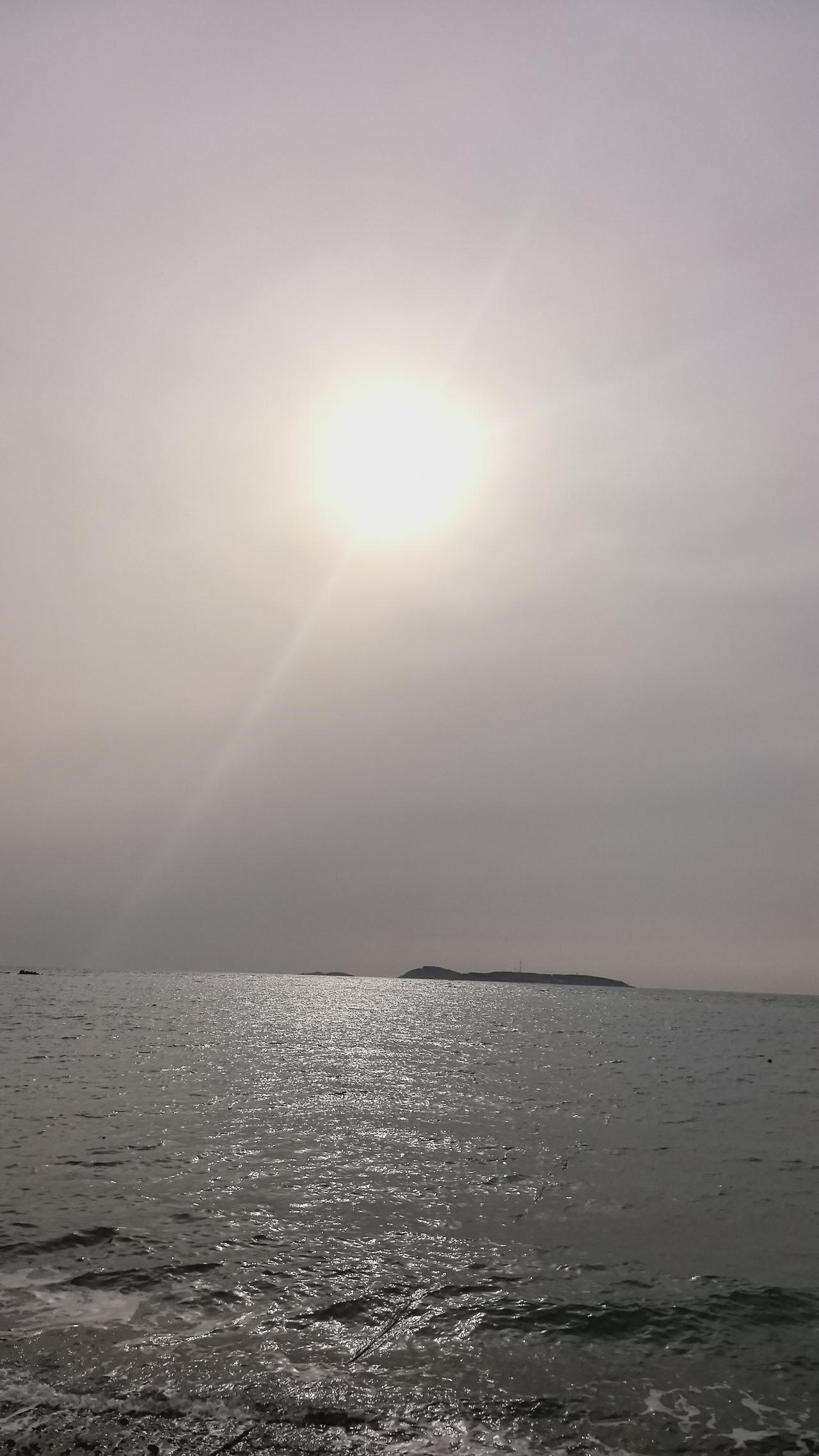 马斯克对未来的10个终极判断，有关中国，极居震撼！1月6日，马斯克警示人类向“