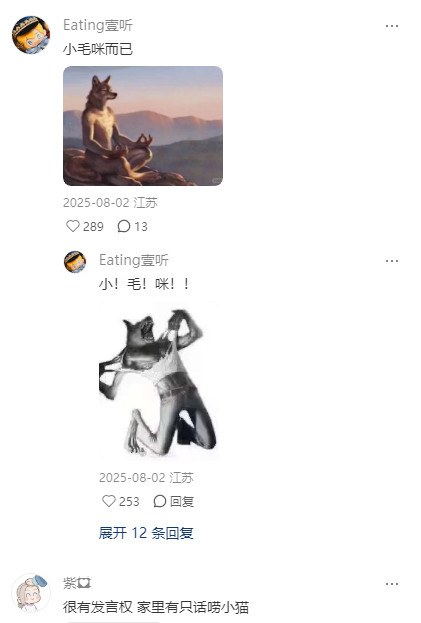 久病床前无孝咪谁懂把小猫抱在怀里，轻轻挤它一下的声音！！！