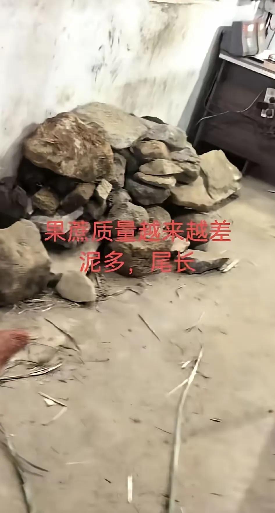 耀明糖厂的夹机工，把甘蔗里掺杂的大石头都给扒了出来，放在办公室后面，堆成了一座小