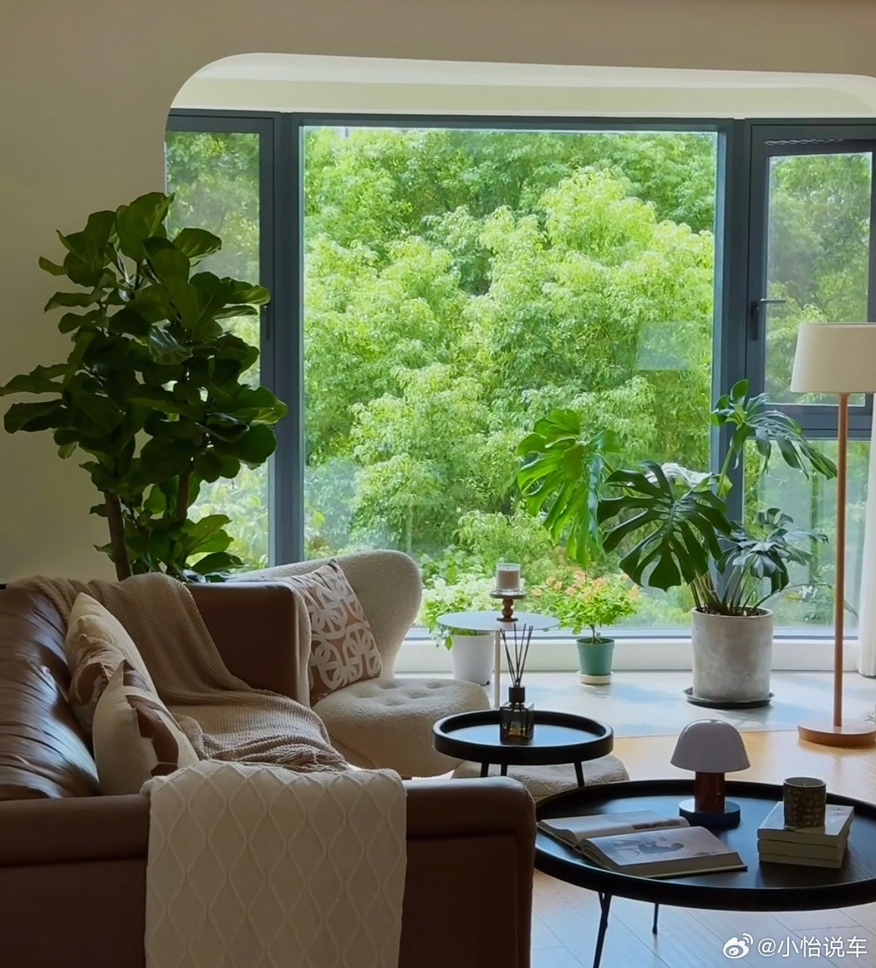 这样的房子才配收我的房租这样采光好、格局舒服、干净不压抑的房子住着才舒服