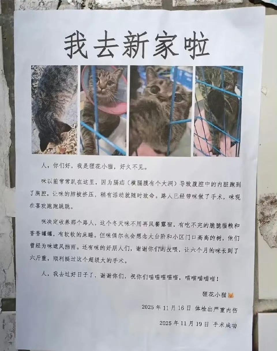 一张告示，让整个小区都被治愈了