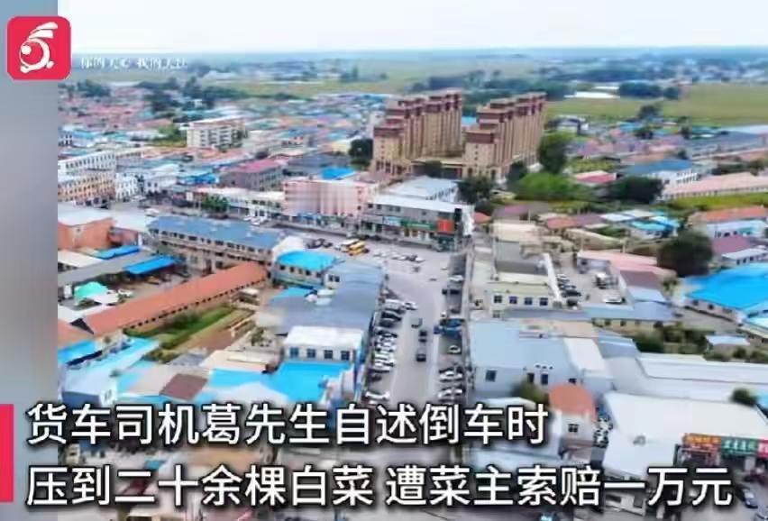 辽宁沈阳这件事挺值得琢磨：压坏20棵白菜被索要一万赔偿，民警调解4小时最后赔了1