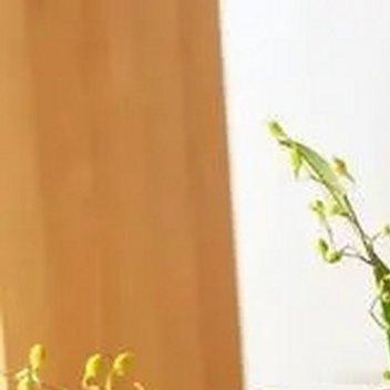 痴人一世流浪去那忘川，我一觉醒转，你一定就在我左岸。牵着手，等一树桃花