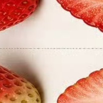 1200🍓草莓的种植：1. 选苗：秋季9-10月挑选根系发达、叶片鲜绿的脱毒壮