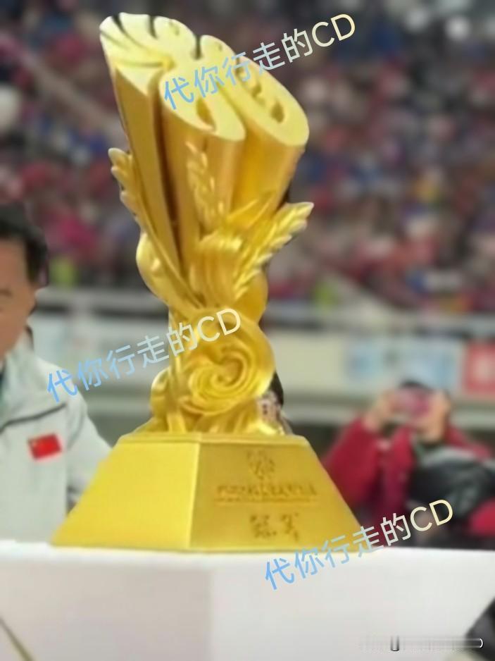 今年城超最后一个冠军诞生!没错！是突然火了的永州！类似泰州，一路逆袭夺冠。